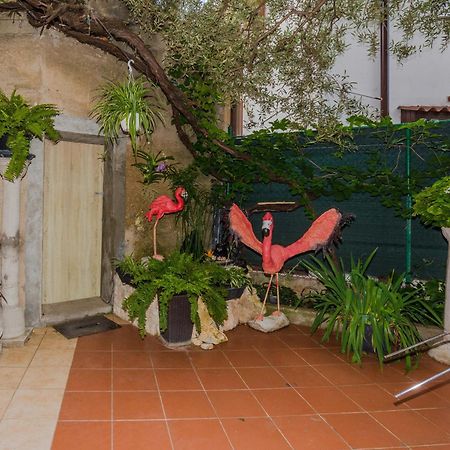 Apartament Naomi Zadar Zewnętrze zdjęcie