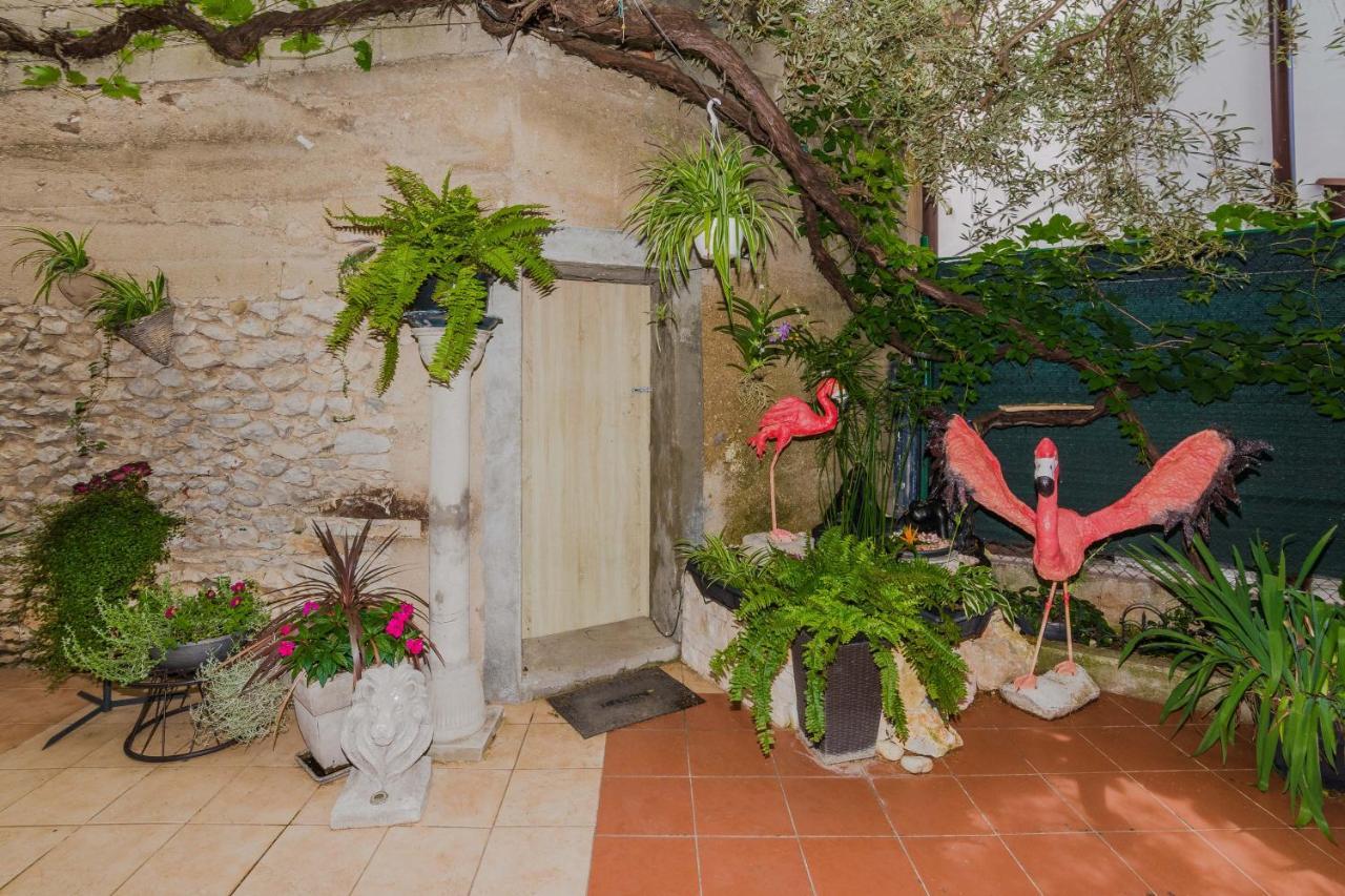 Apartament Naomi Zadar Zewnętrze zdjęcie