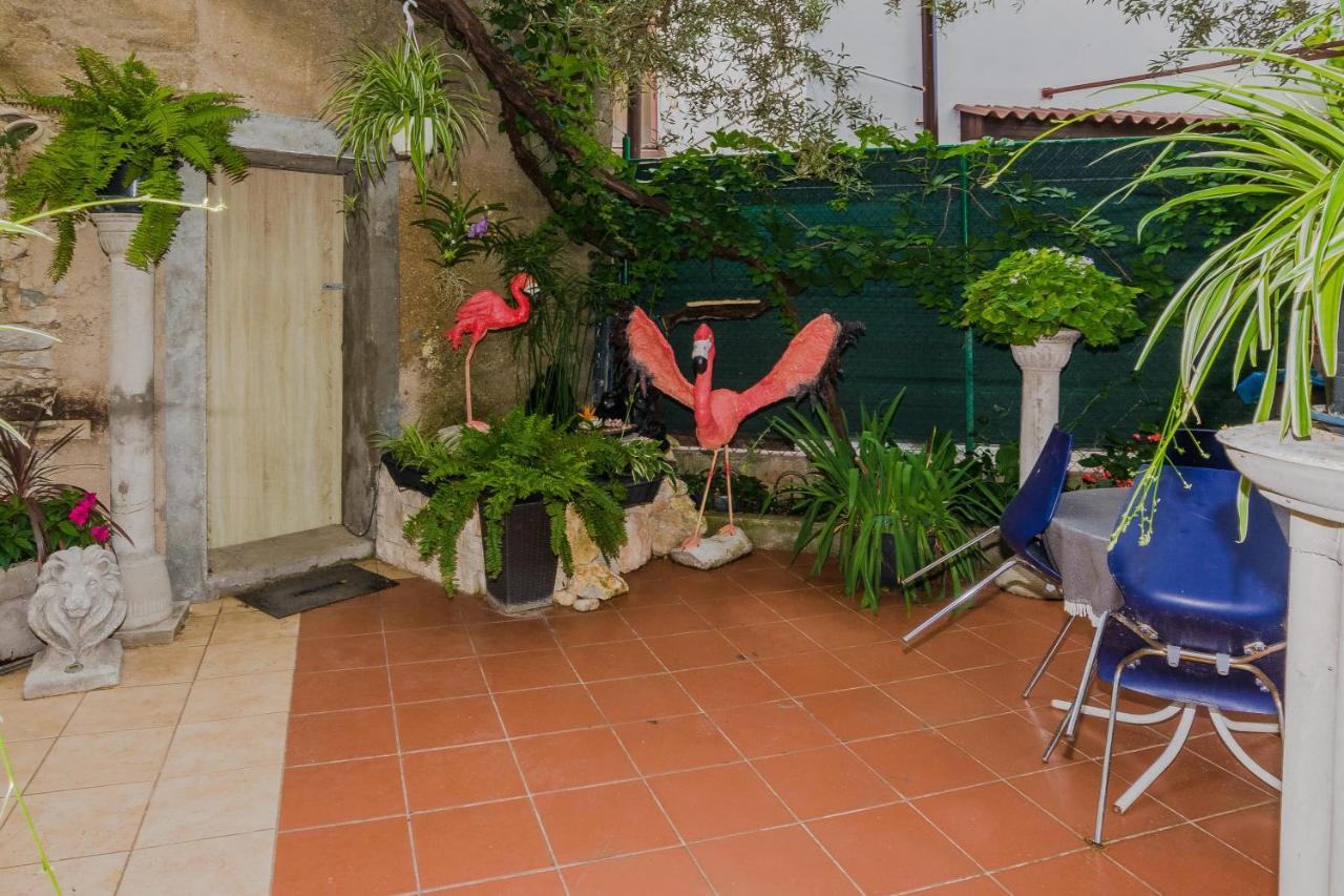 Apartament Naomi Zadar Zewnętrze zdjęcie